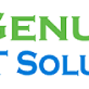 Genuine IT Solution Logo