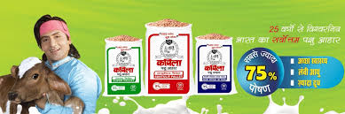 Premium Dog Food Brands