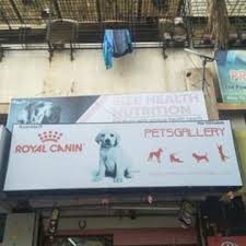 Pet Accessories Section