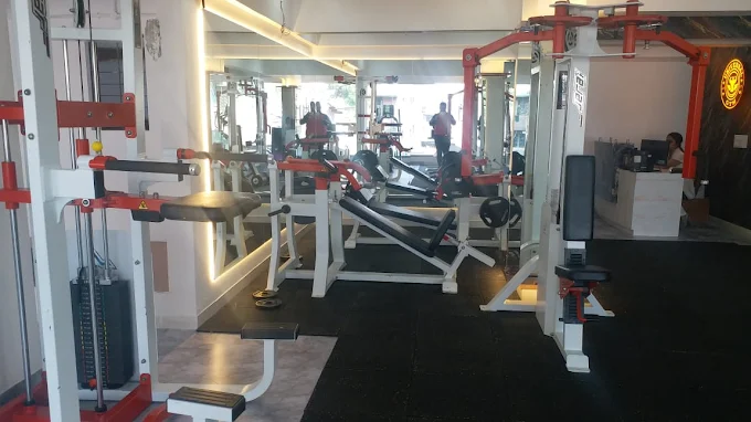 Universal Gym Machines